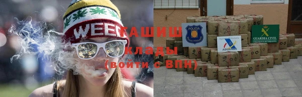 мдпв Бородино