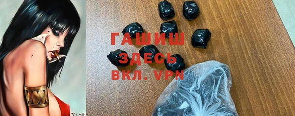 мдпв Бородино