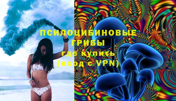 мдпв Бородино