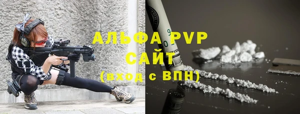 мдпв Бородино